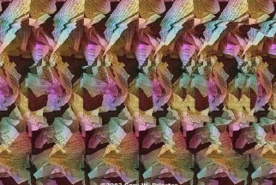 stereo carta
