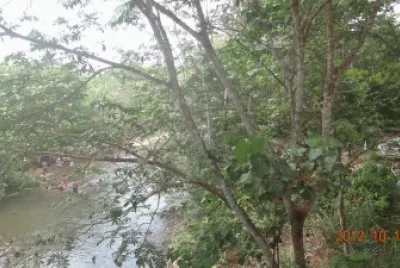 rio negro