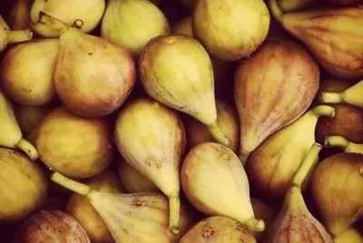 vintage figs