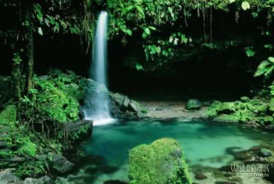 cachoeira