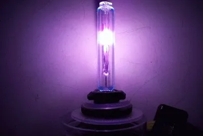 Dark Purple Xeon Lamp