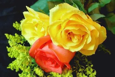 amarillo y rojo