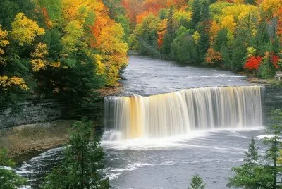 jungle jigsaw puzzle