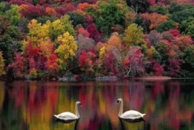 פאזל של paisaje colorido