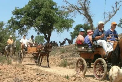 the country cooking school