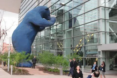 the blue bear