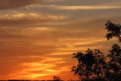 Golden sunset