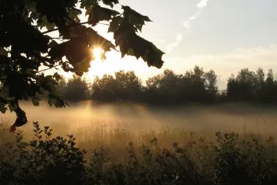 Each new dawn brings new hope