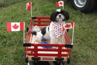 Happy Canada Day everyone