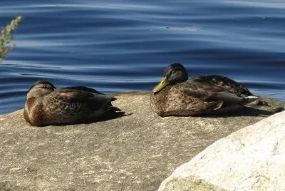 Everyone loves a sunny summer day