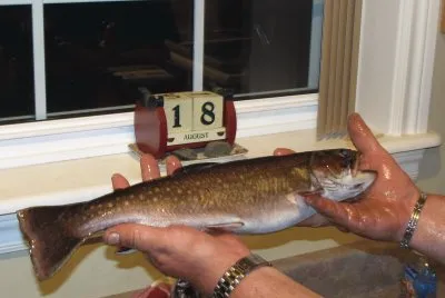 Got me a nice 3 pounder today