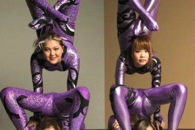 פאזל של Purple Contortionists