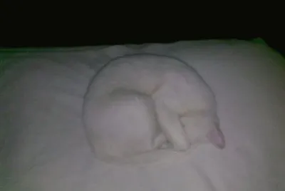 ME TAPO LOS OJOS