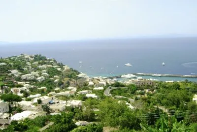 CAPRI jigsaw puzzle