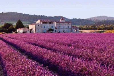 French countryside