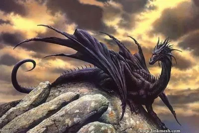 DRAGON NEGRO jigsaw puzzle