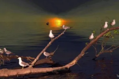 paisagem jigsaw puzzle