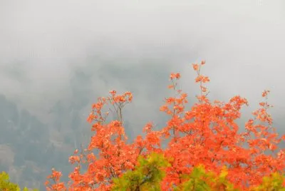 promise of fall Wyoming