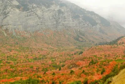 fall in Wyoming