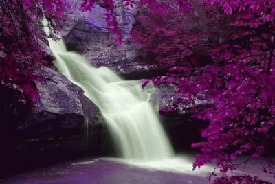 פאזל של Waterfall in Purple Splendor
