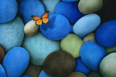 color contrasts