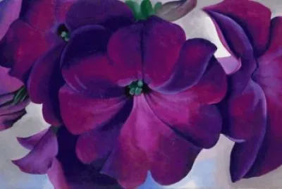vibrant purple