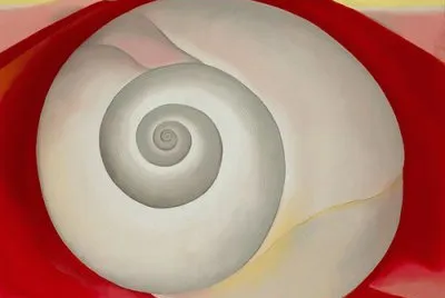 snail shell