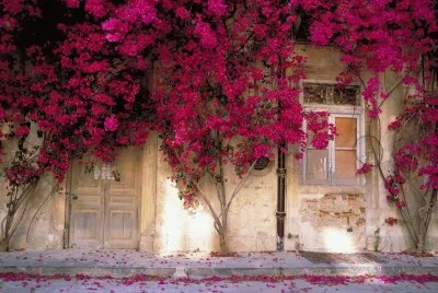 paisagem jigsaw puzzle