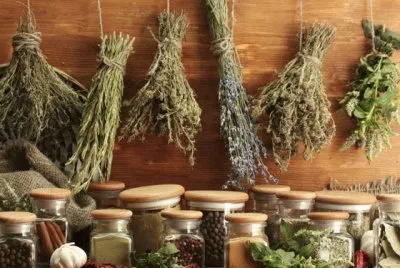 drying herbs