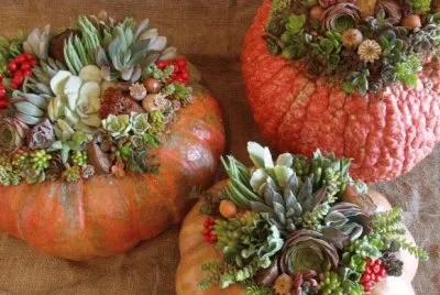 pumpkin planters