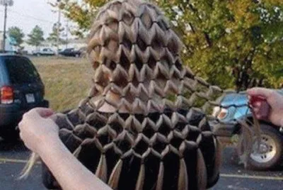 fractal hair braid