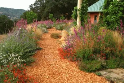 indigenous plant garden CA