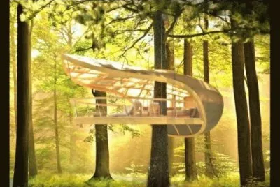 tree house 1