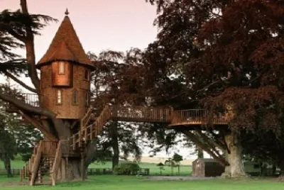 tree house 4