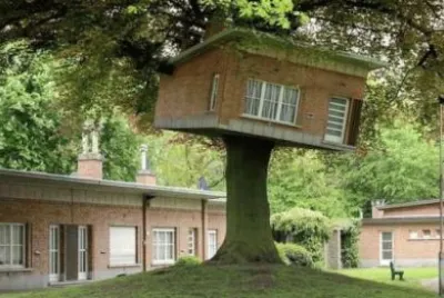 tree house 7