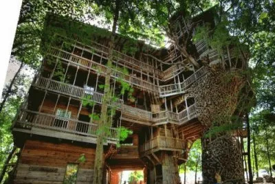 tree house 8