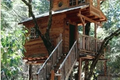 tree house 9.