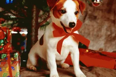 c9