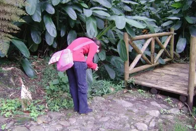 buscando flores jigsaw puzzle