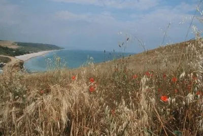 Frumento al mare