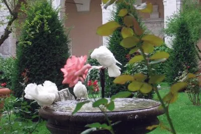 Giardino dell 'Abbazia di Montecassino
