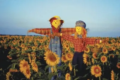 Scarecrows in a field in Kansas