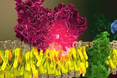 cannabinoids