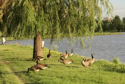 naturaleza