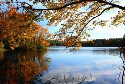 autumn at the lake jigsaw puzzle