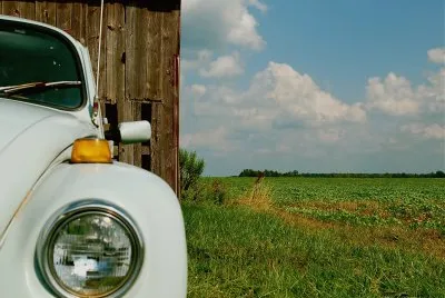 classic beauty jigsaw puzzle