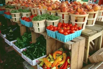 Montgomery Country fair jigsaw puzzle