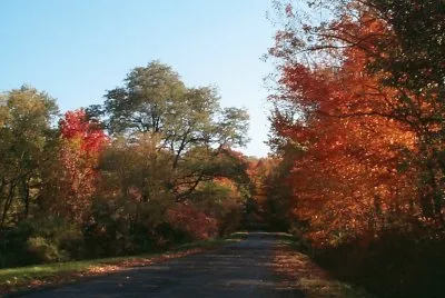 beautiful autumn jigsaw puzzle