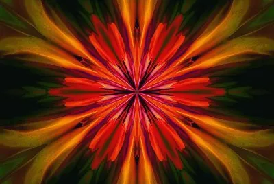 floral abstract jigsaw puzzle