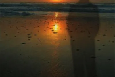 Gray Man of Pawley Island jigsaw puzzle